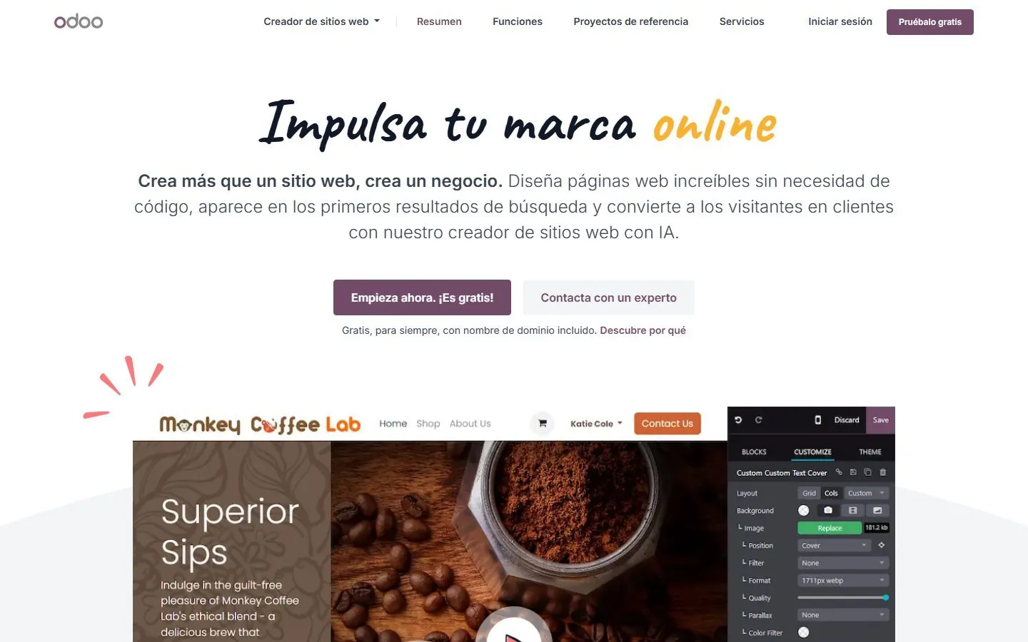 Captura Odoo 19 · Website